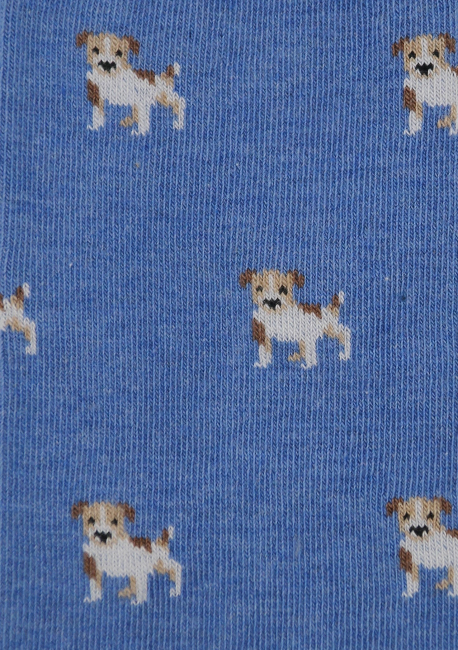 CALCETINES JACK RUSSEL AZUL