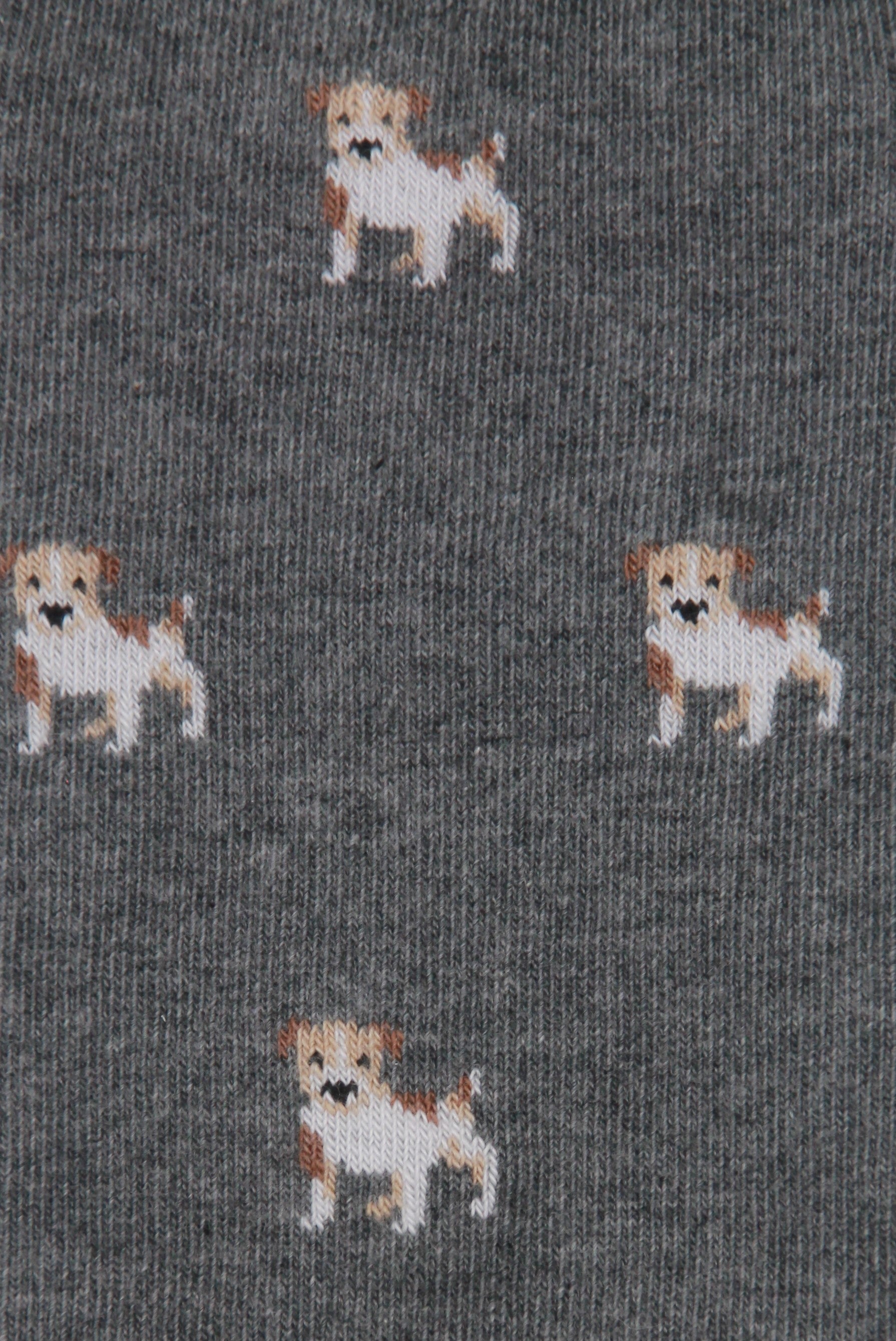CALCETINES JACK RUSSEL GRIS