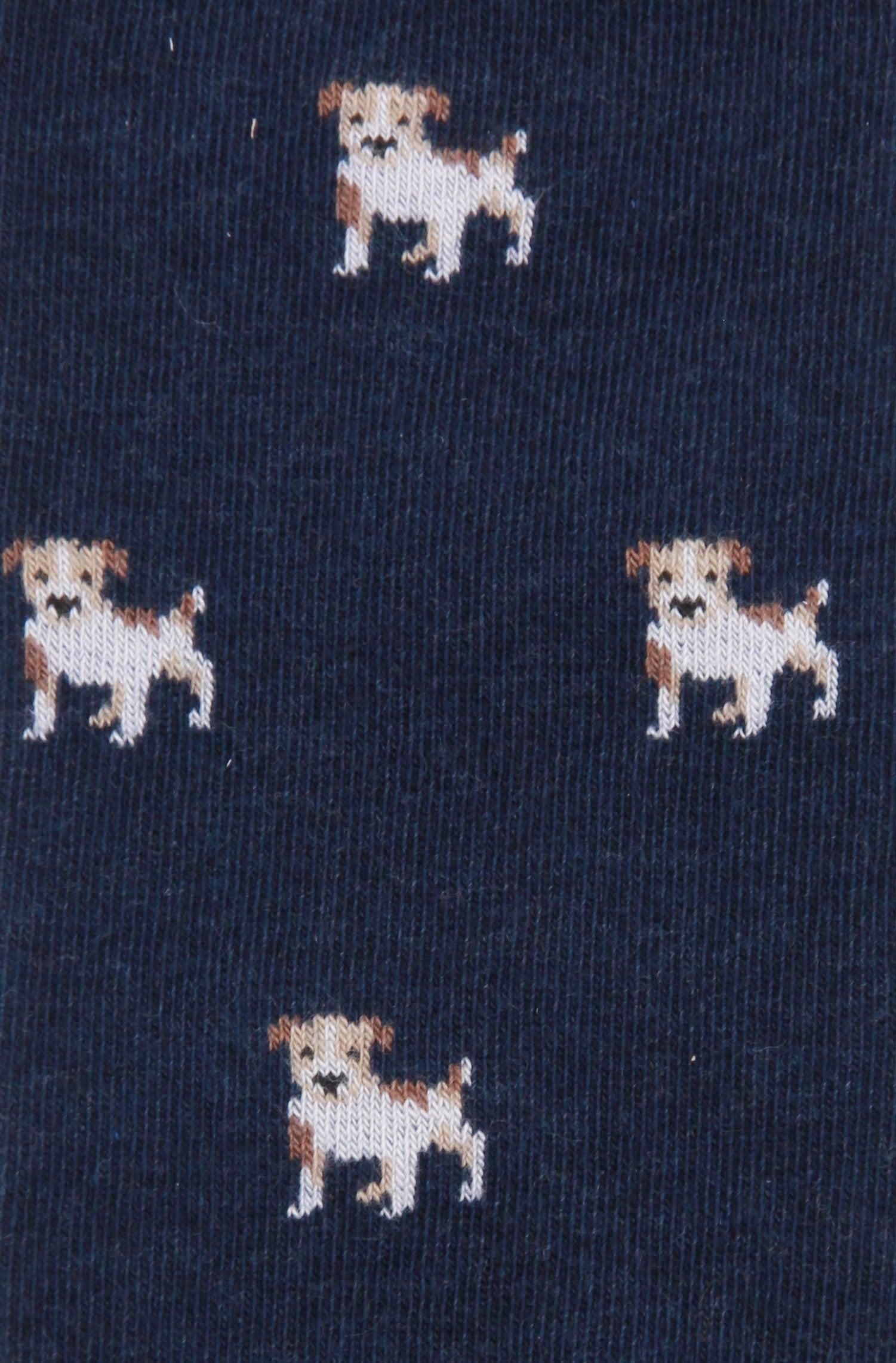 CALCETINES JACK RUSSEL AZUL MARINO