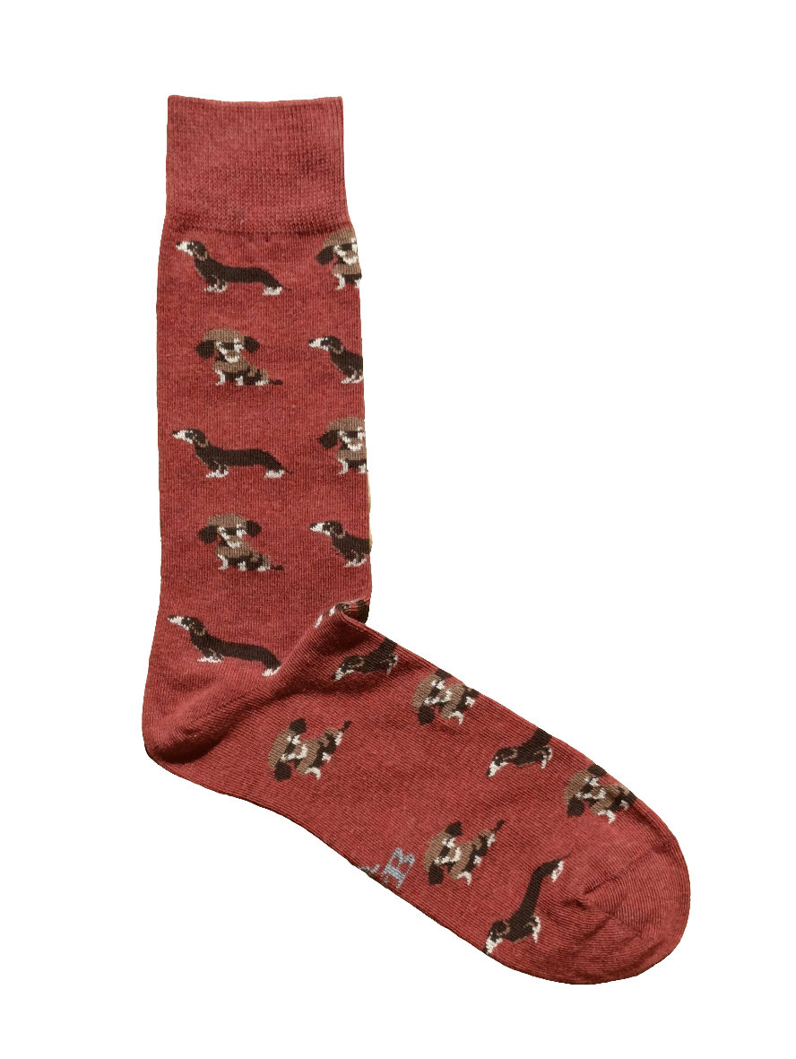 CALCETINES TECKEL TEJA