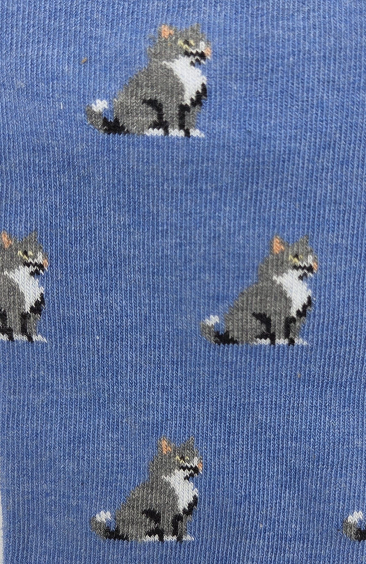 CALCETINES GATOS AZUL