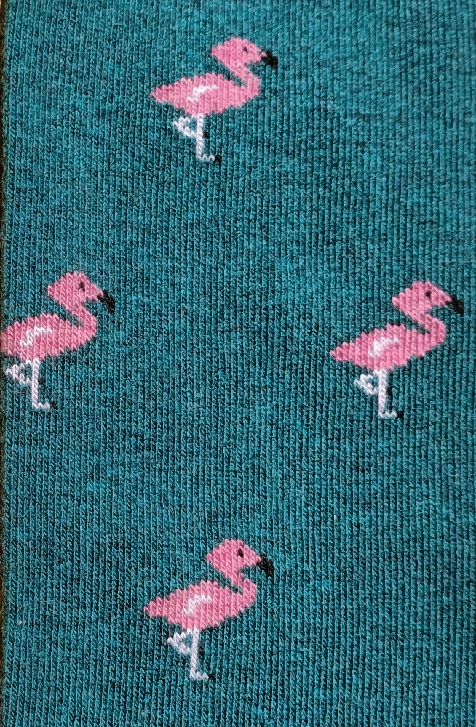 GREEN FLAMINGO SOCKS B2B