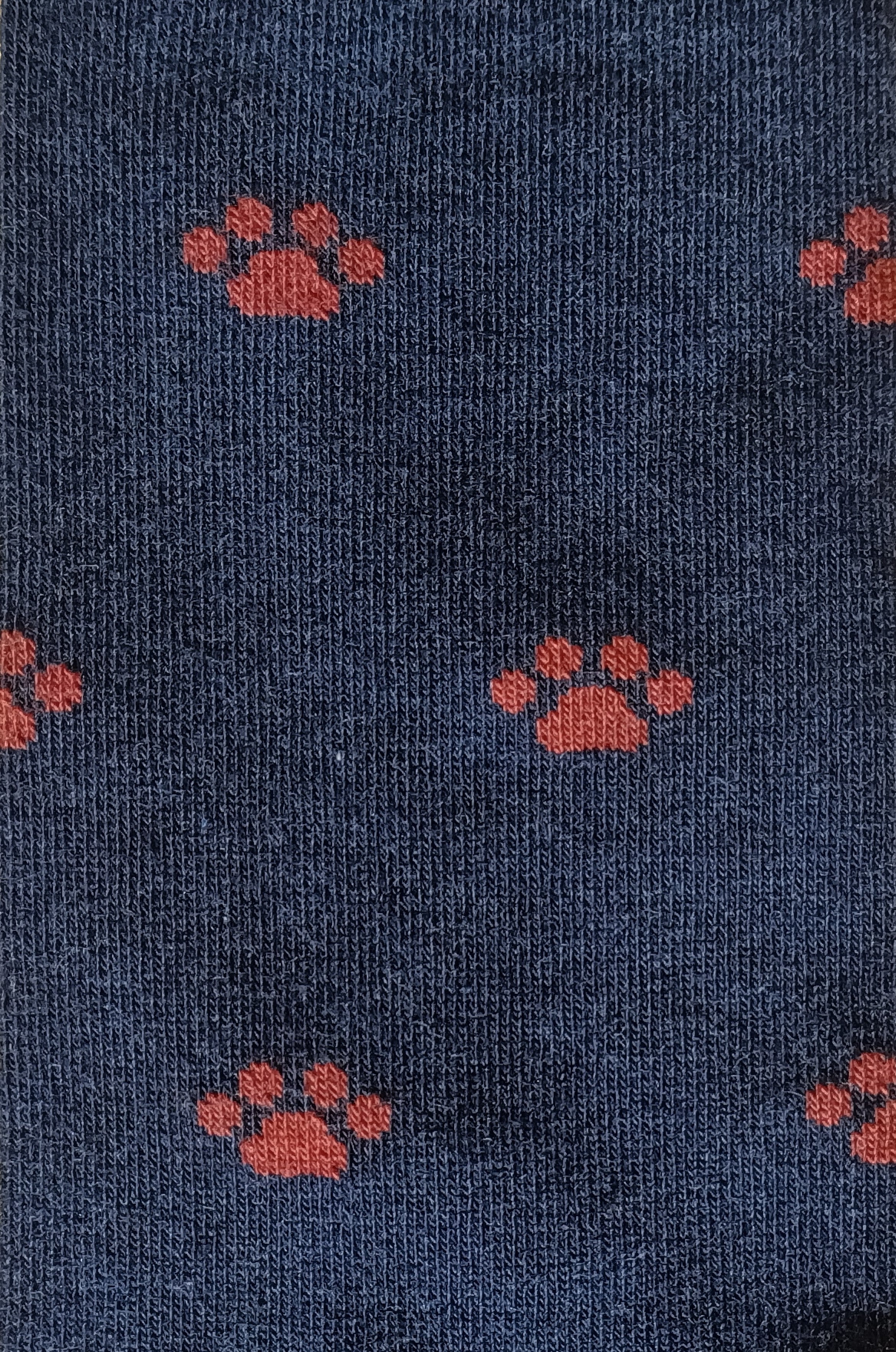NAVY BLUE-RED FOOTPRINT SOCKS B2B